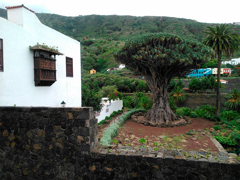 North Coast Apartments Puerto de la Cruz  Exterior photo